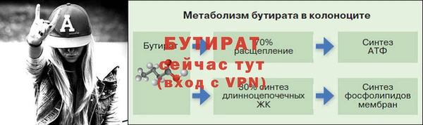 стаф Богородицк