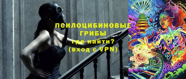 стаф Богородицк