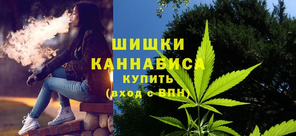 стаф Богородицк