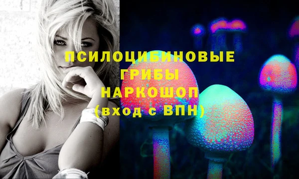 стаф Богородицк