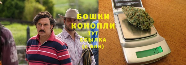 стаф Богородицк
