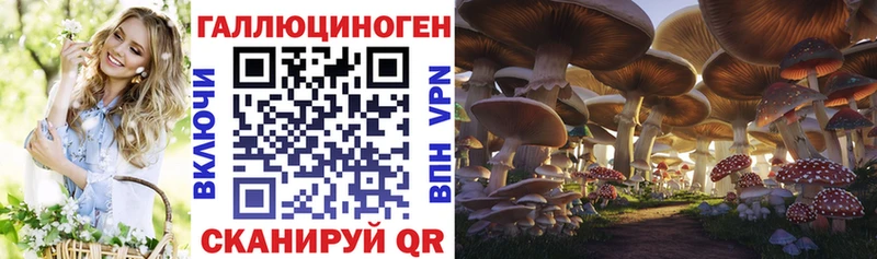 Псилоцибиновые грибы ЛСД купить наркотик Кузнецк