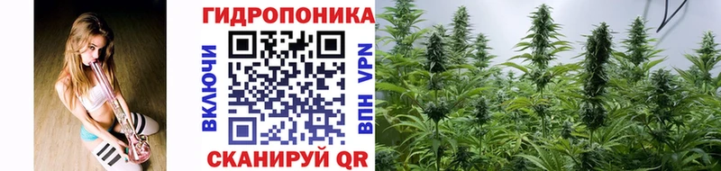 кракен сайт  цены   Кузнецк  Марихуана AK-47 